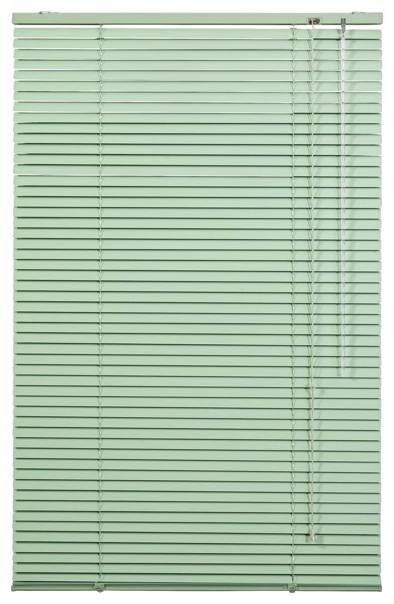 LICHTBLICK Alu-Jalousie grün B/L: ca. 60x160 cm