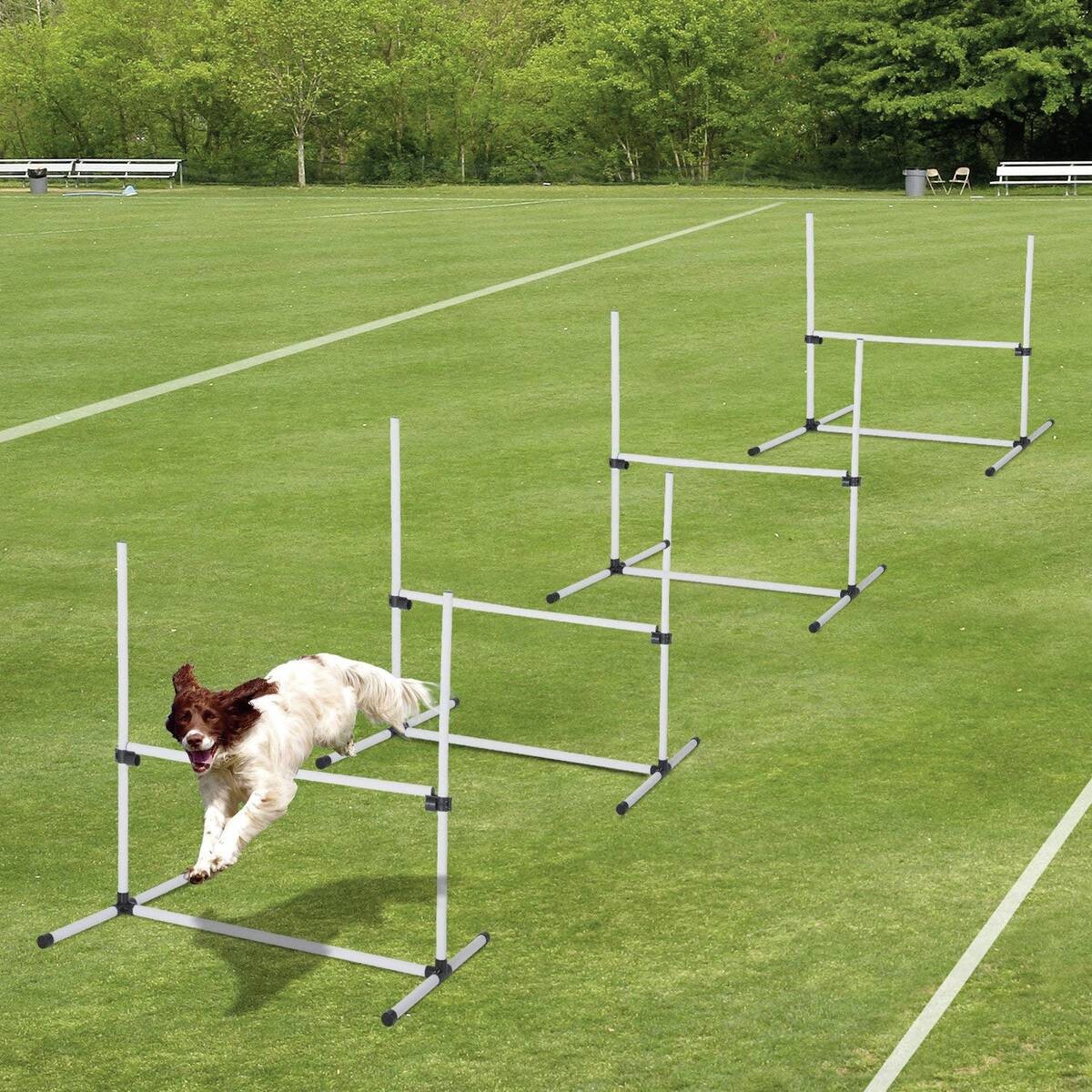 PawHut Agility Hürdenset weiß Kunststoff