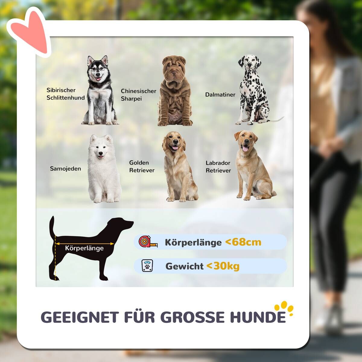 PawHut Hundewagen grau Polyester B/H/L: ca. 67x100x124 cm