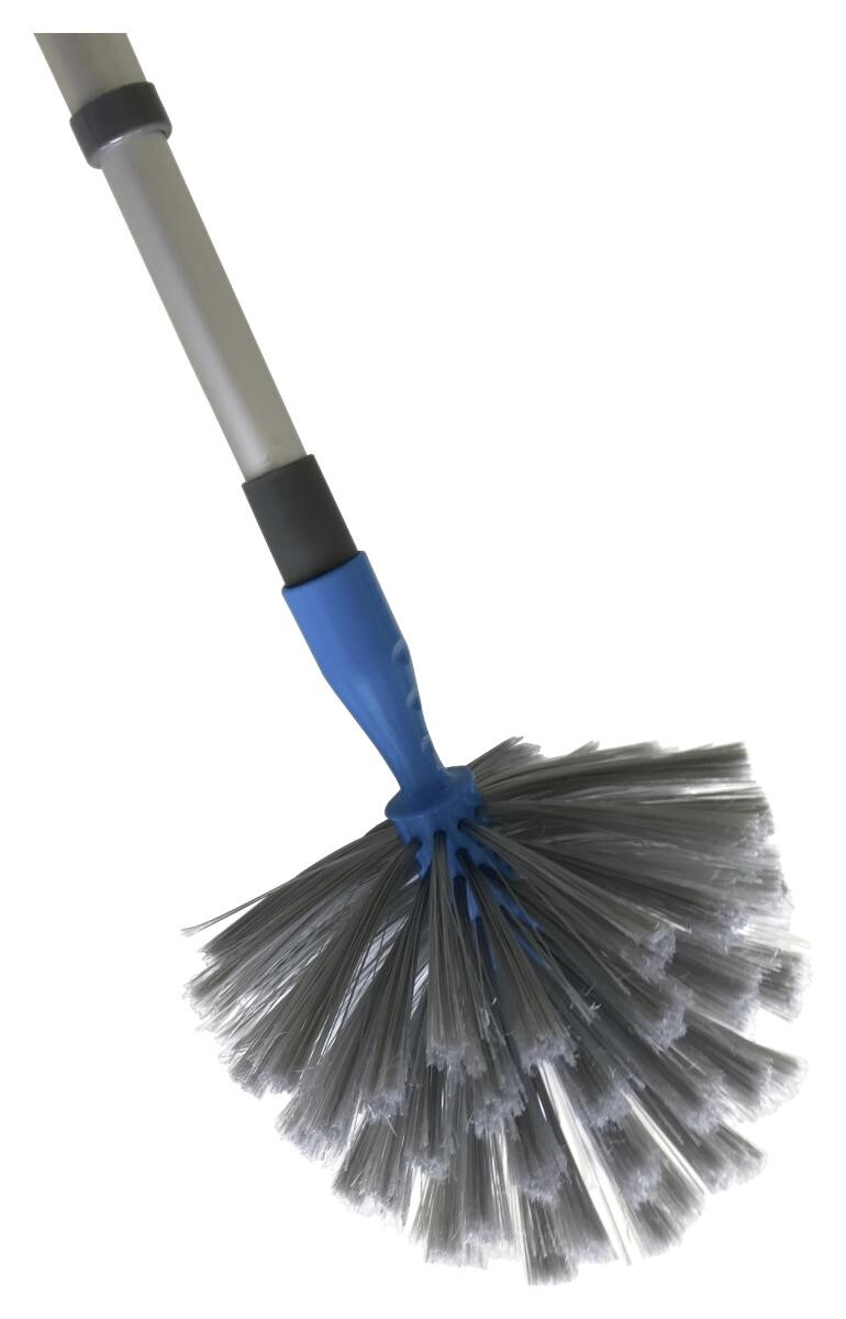 Staubpilz grau H: ca. 130 cm