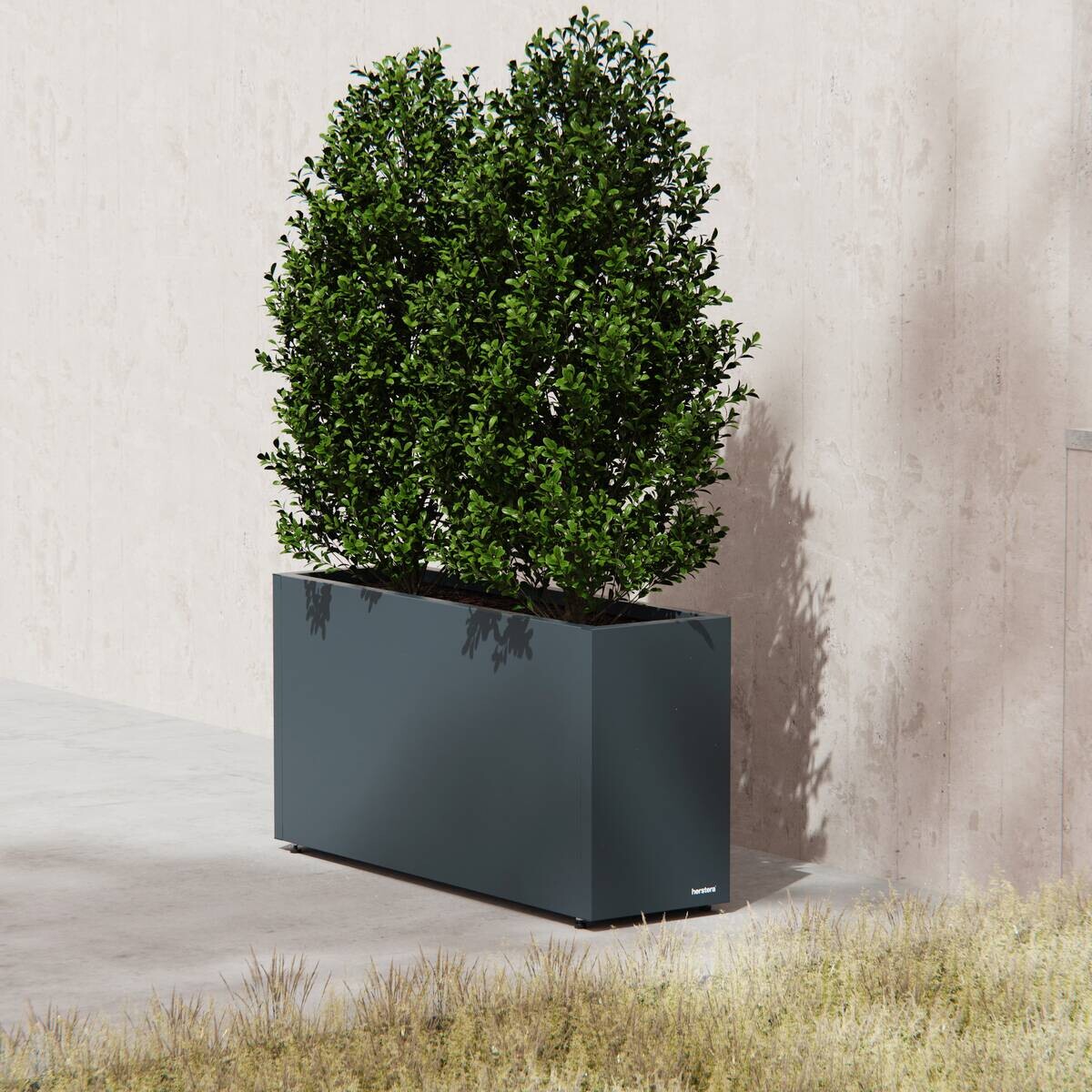 Herstera Garden Pflanzkübel Cube anthrazit Metall B/H/L: ca. 100x50x30 cm