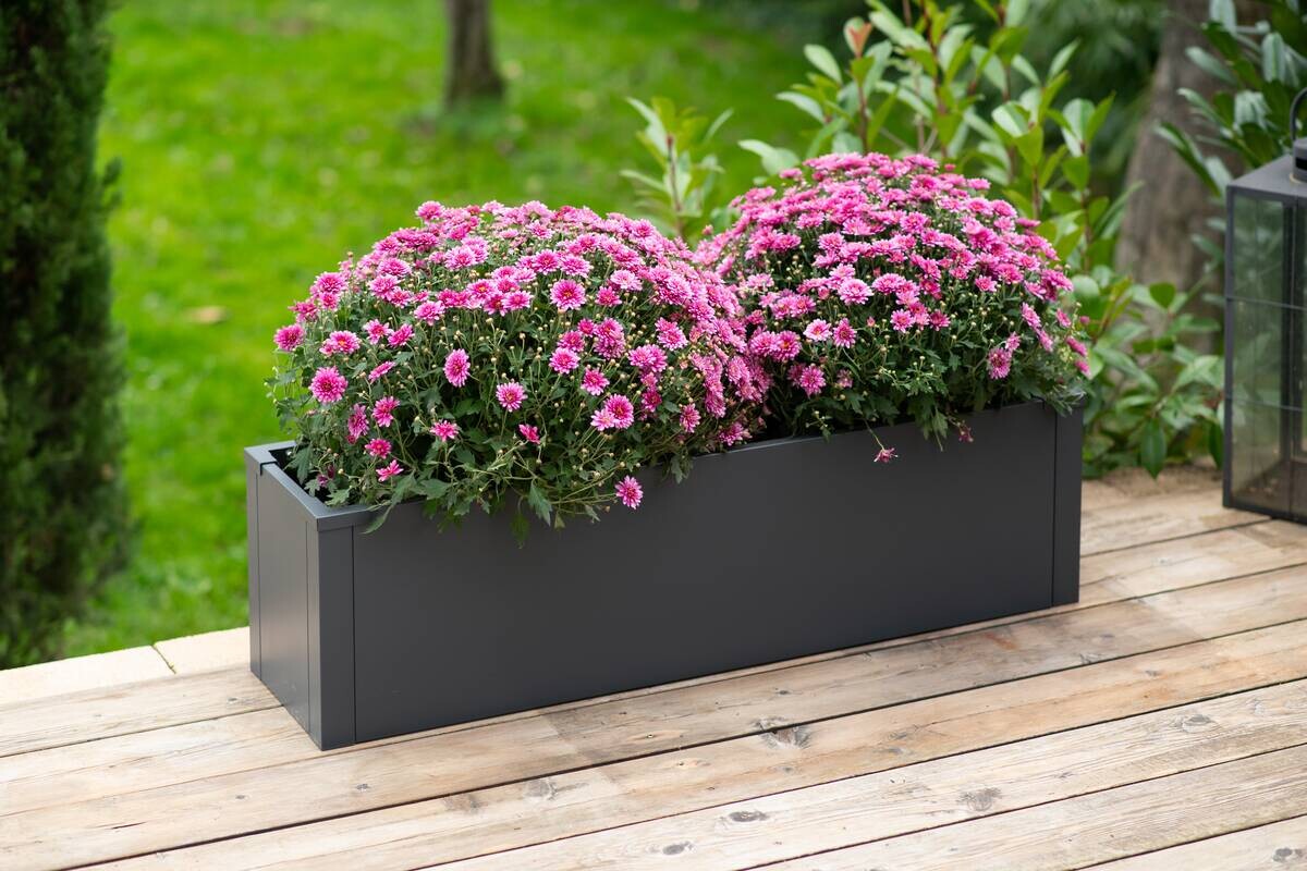 Westmann Pflanzkasten Talus anthrazit Metall B/H/L: ca. 100x27x25 cm
