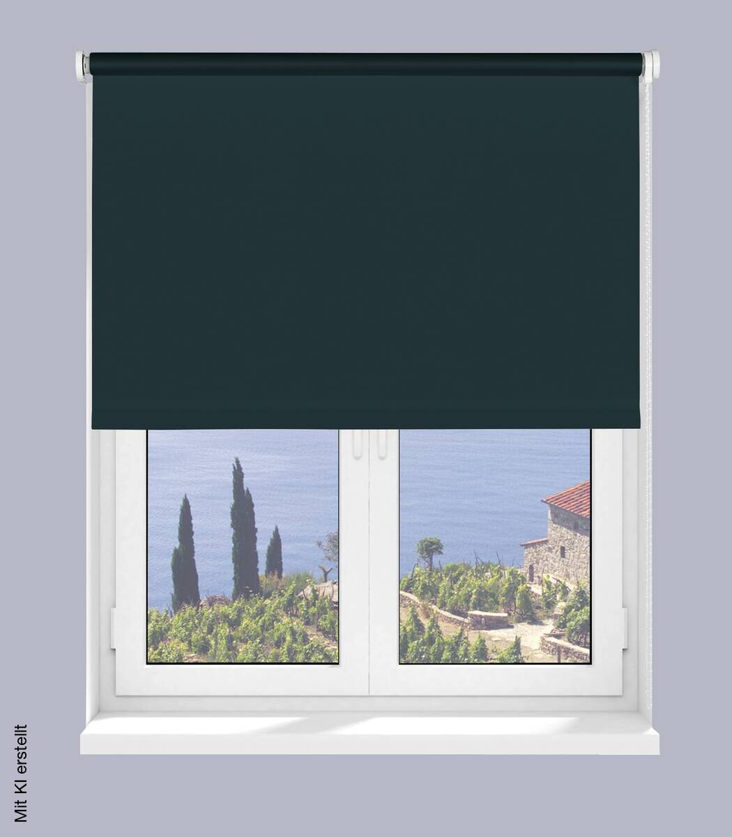 Boviva Thermo Seitenzugrollo Verdunklungsqualität anthrazit B/L: ca. 62x175 cm