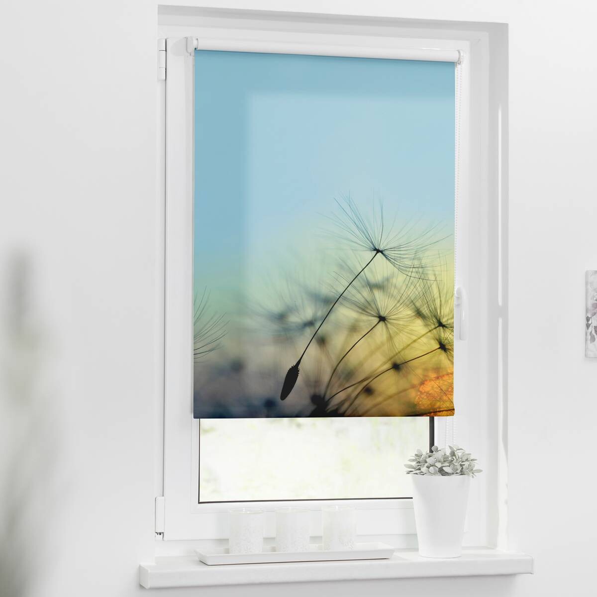 LICHTBLICK Verdunkelungsrollo Pusteblume blau B/L: ca. 100x150 cm
