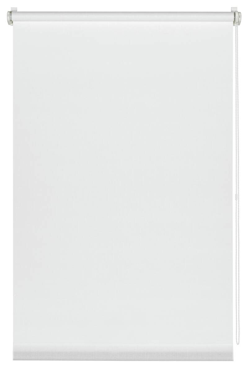 Sensation Klemmrollo Champion weiß B/L: ca. 90x150 cm