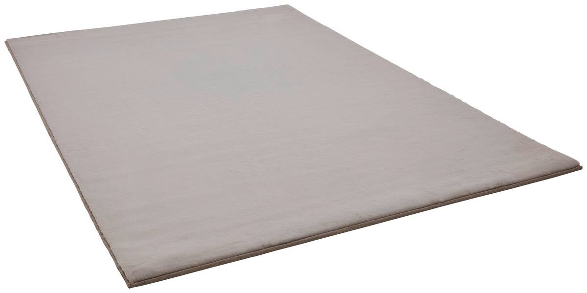 Teppich Pisa taupe B/L: ca. 120x160 cm