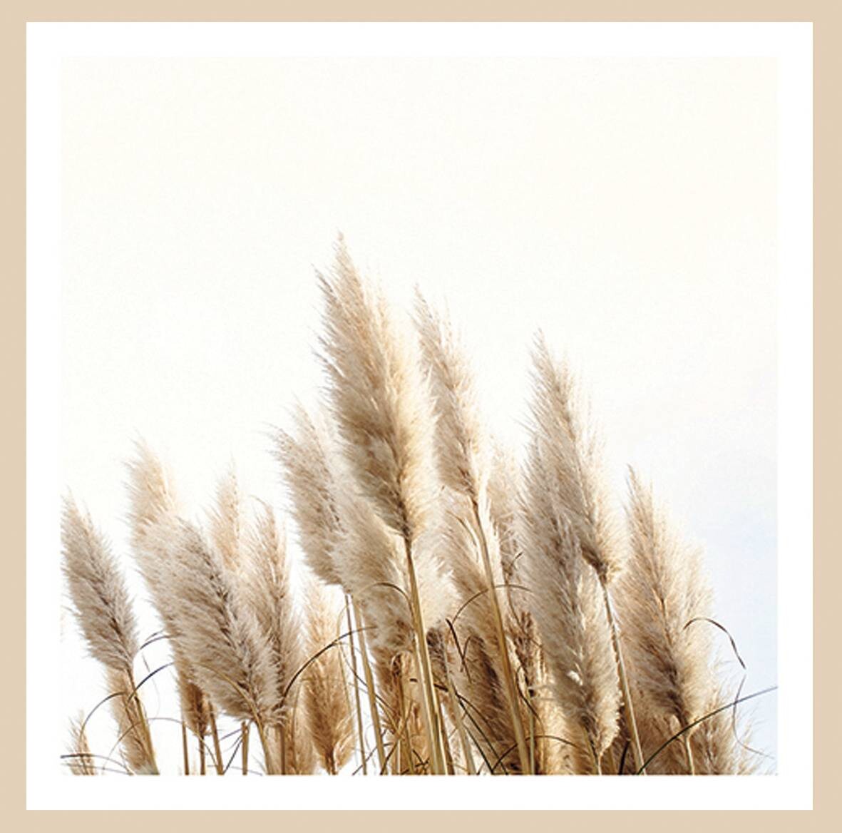 Gerahmtes Bild Gräser B/L: ca. 35x35 cm