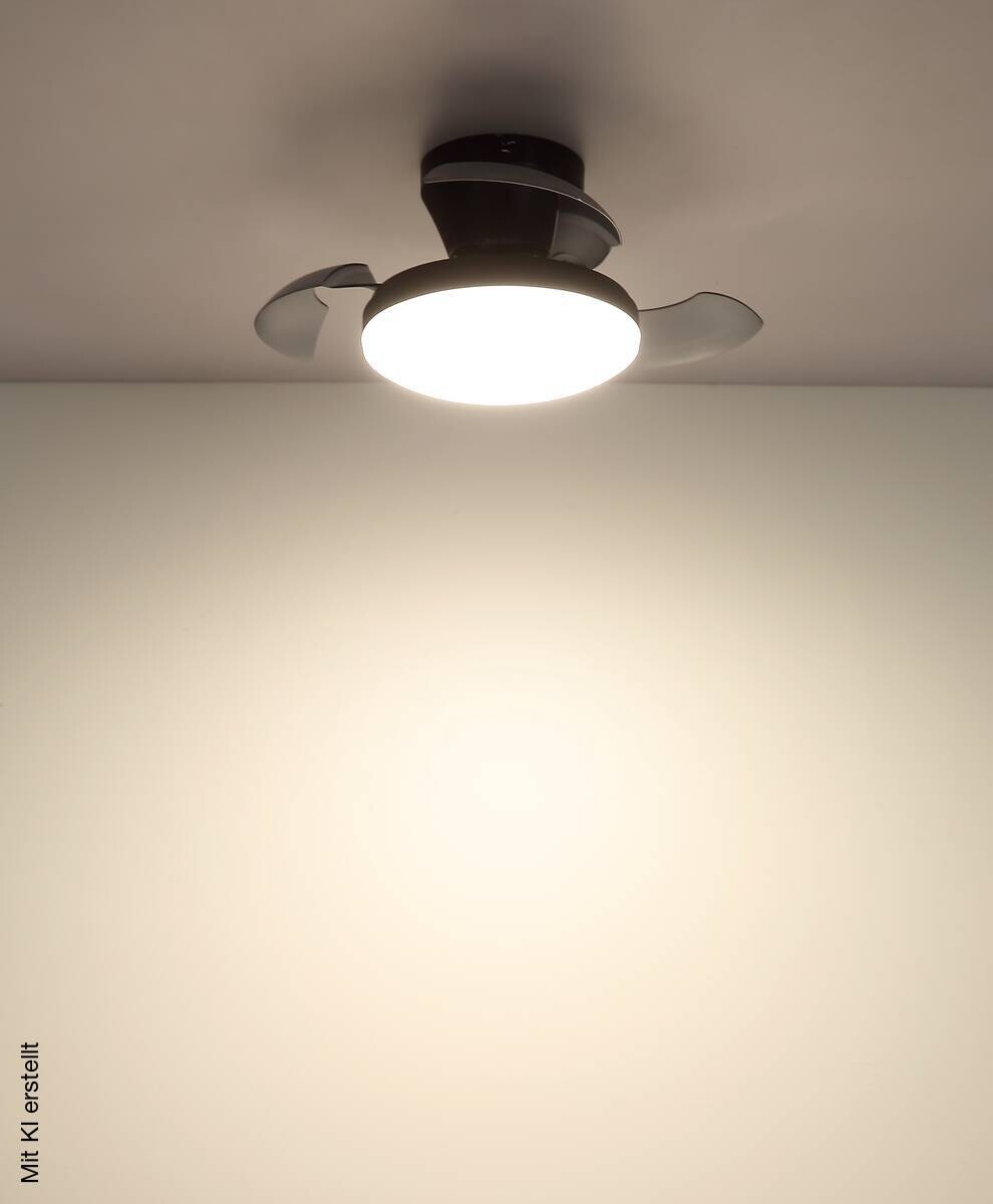 GLOBO LED-Deckenventilator schwarz Rauch transparent H/D: ca. 15,5x38 cm max. 15 W