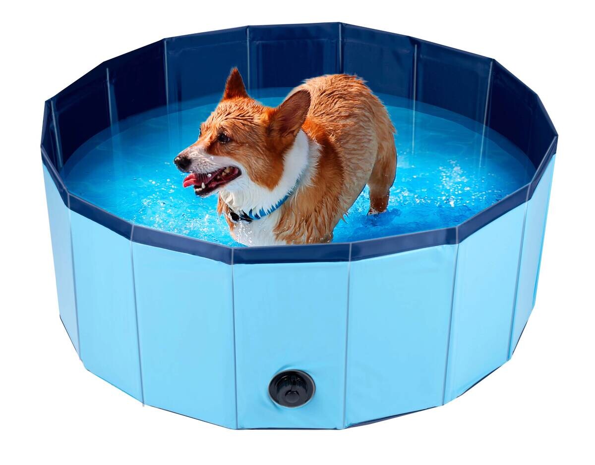 Pet Comfort Hundepool blau PVC B/H/L: ca. 80x30x80 cm