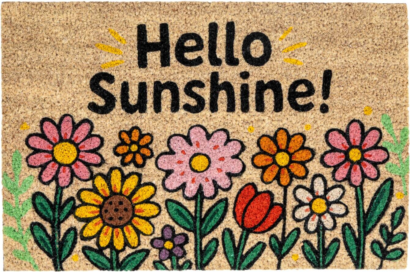 Fußmatte Kokos Sunshine Multi B/L: ca. 40x60 cm