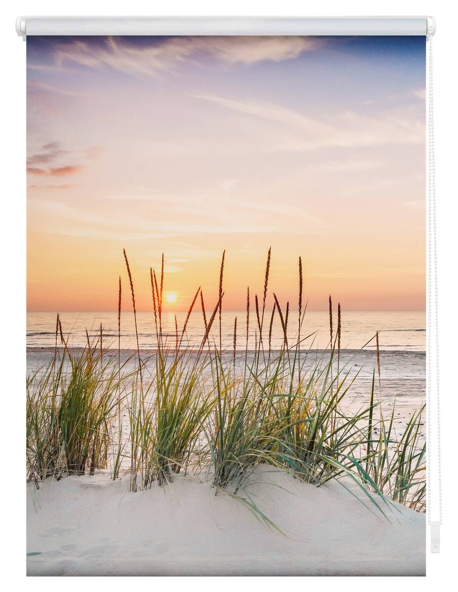 LICHTBLICK Rollo Nordseestrand weiß B/L: ca. 80x150 cm