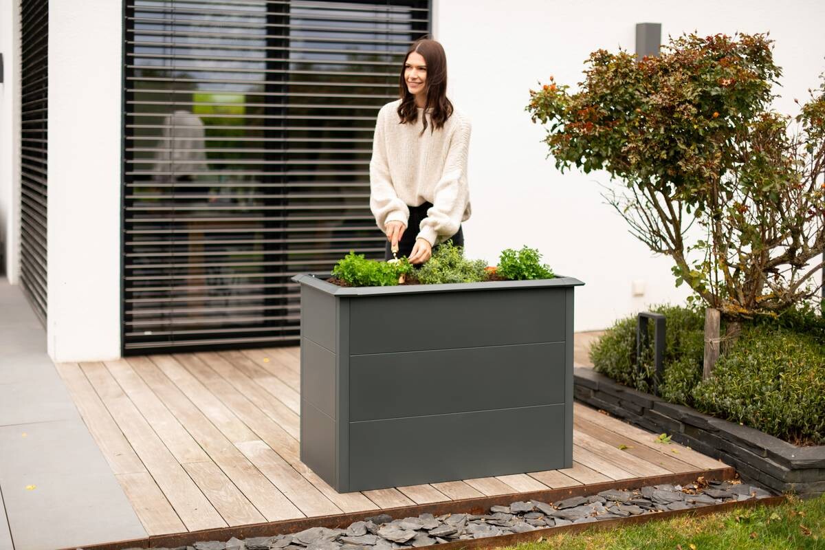 Westmann Hochbeet Primus M anthrazit Metall B/H/T: ca. 100x77x50 cm