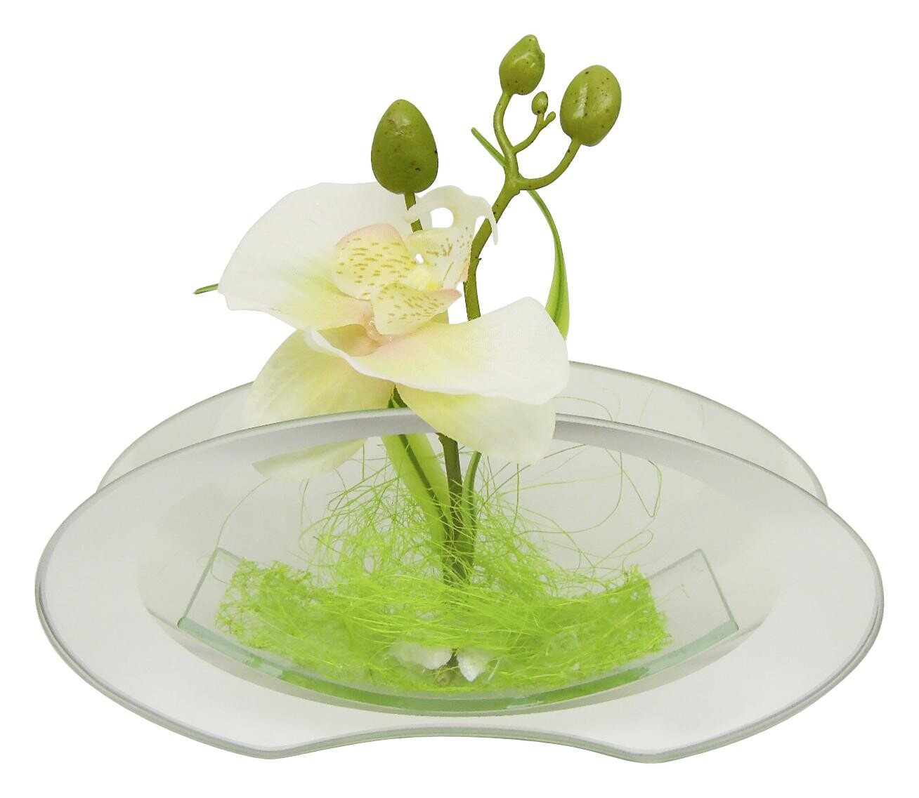 POCOline Vase klar Glas B/H/L: ca. 4,5x9,5x20 cm