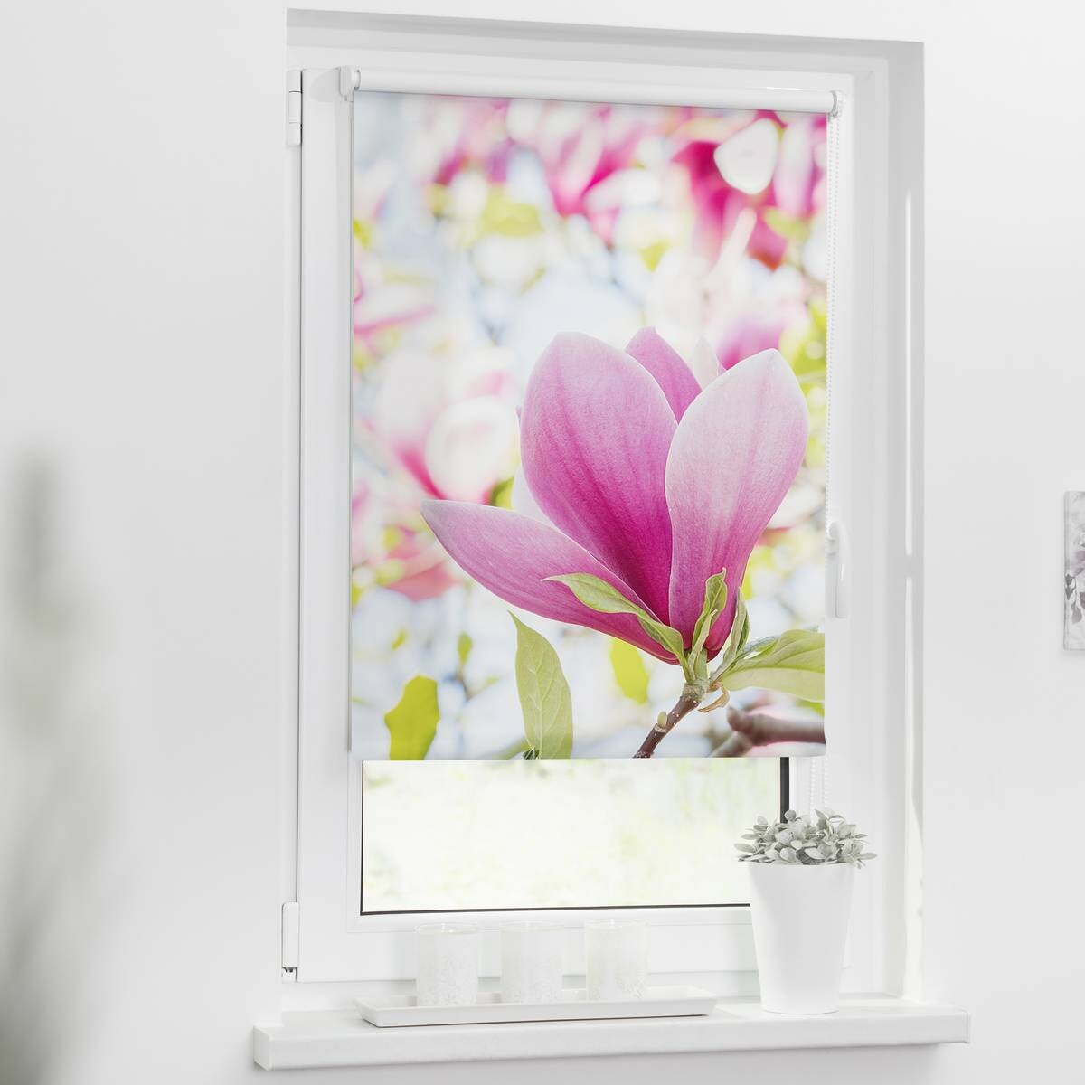 LICHTBLICK Rollo Magnolie rosa B/L: ca. 80x150 cm