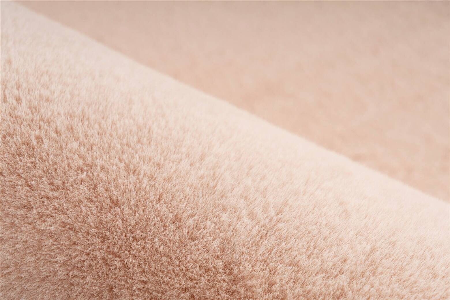 Padiro Hochflorteppich Rabbit Light 525 creme B/H/L: ca. 200x3,6x290 cm