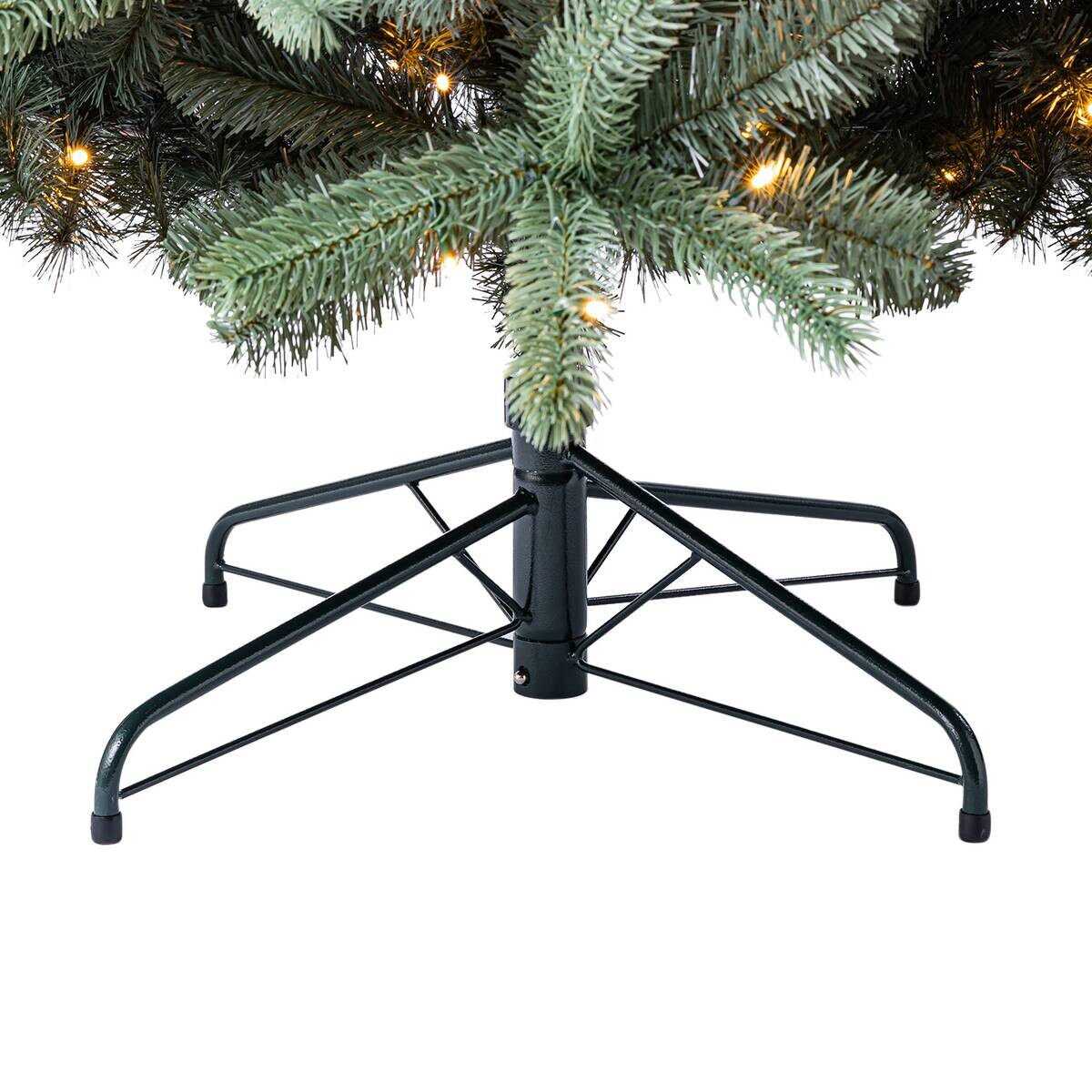 Evergreen Weihnachtsbaum Vermont Fichte