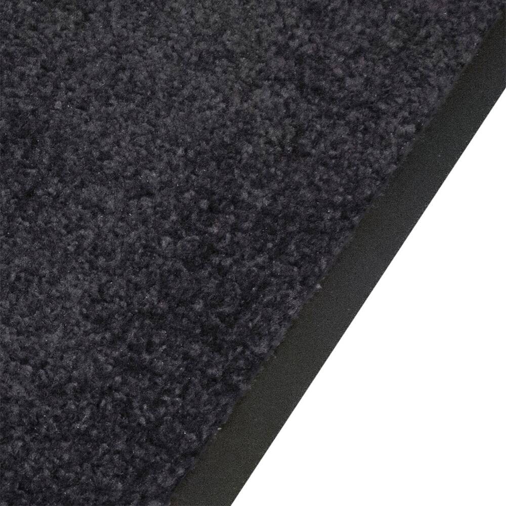 Schmutzfangmatte Alpha schwarz B/L: ca. 40x60 cm