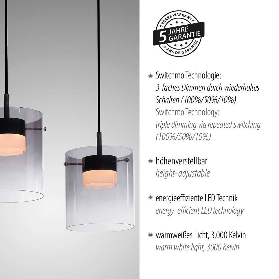 Just Light Pendelleuchte schwarz
