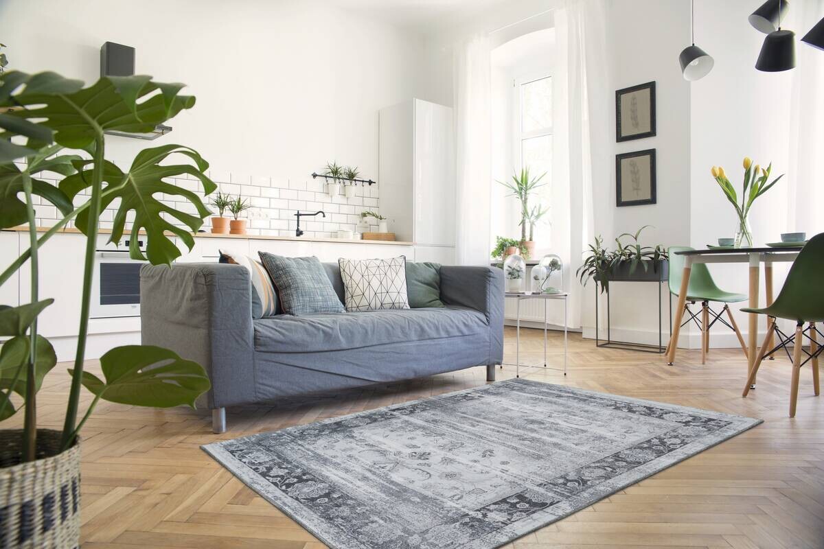 360Living Teppich Galaxy grau B/L: ca. 170x240 cm