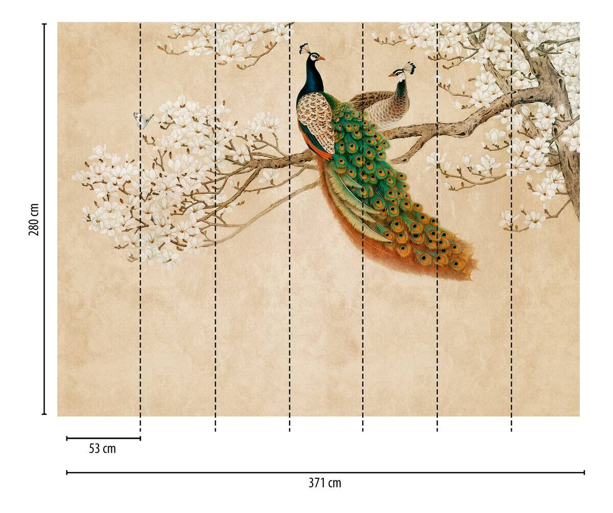 Livingwalls Fototapete Pfau orange beige weiß B/L: ca. 280x371 cm
