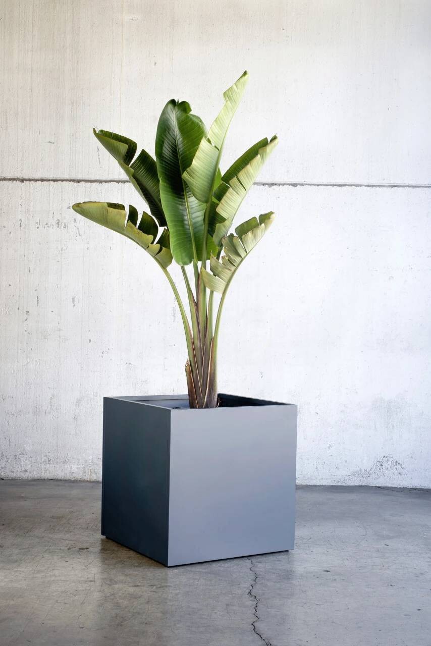 Herstera Garden Pflanzkasten anthrazit Metall B/H/L: ca. 70x70x70 cm