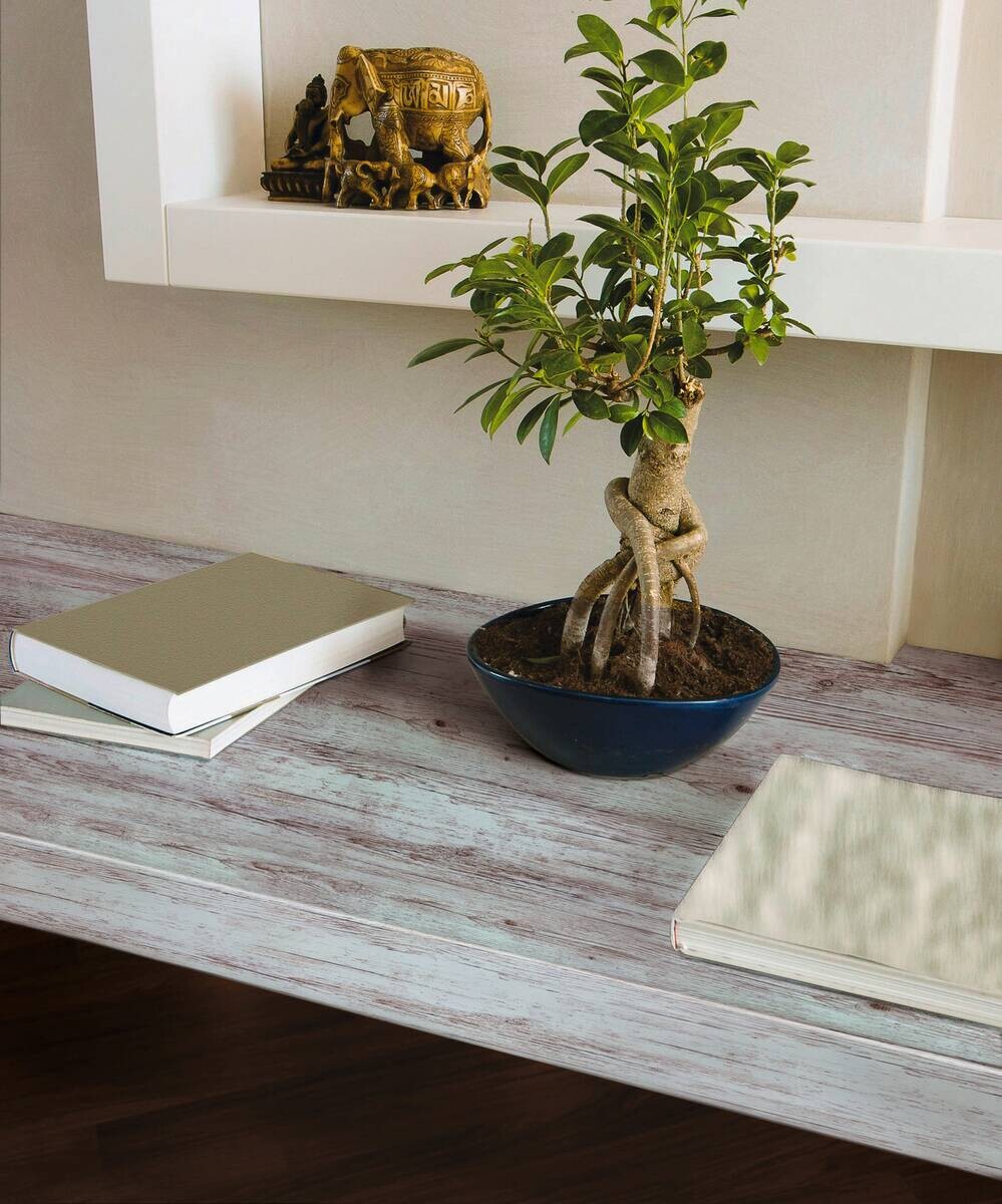 d-c-fix Dekofolie Holzoptik hellbeige B/L: ca. 45x200 cm