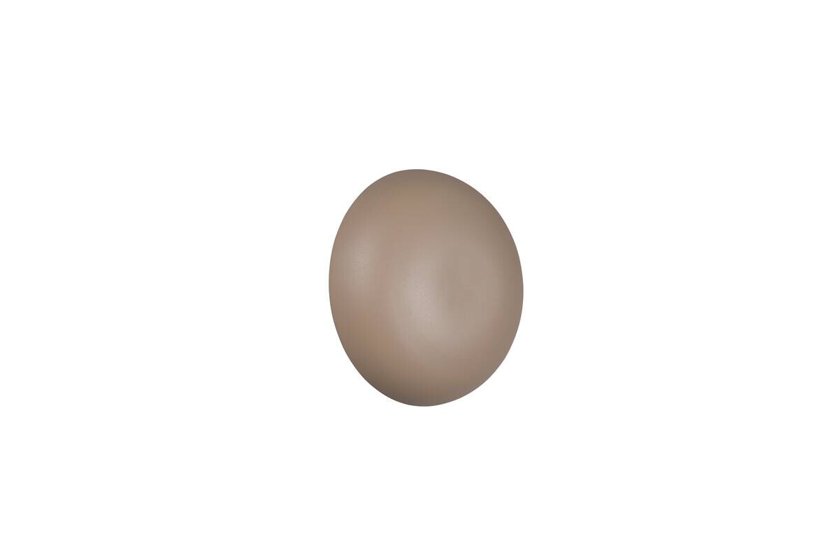 Reality LED Wandleuchte DAVEY beige Metall 1 Brennstellen
