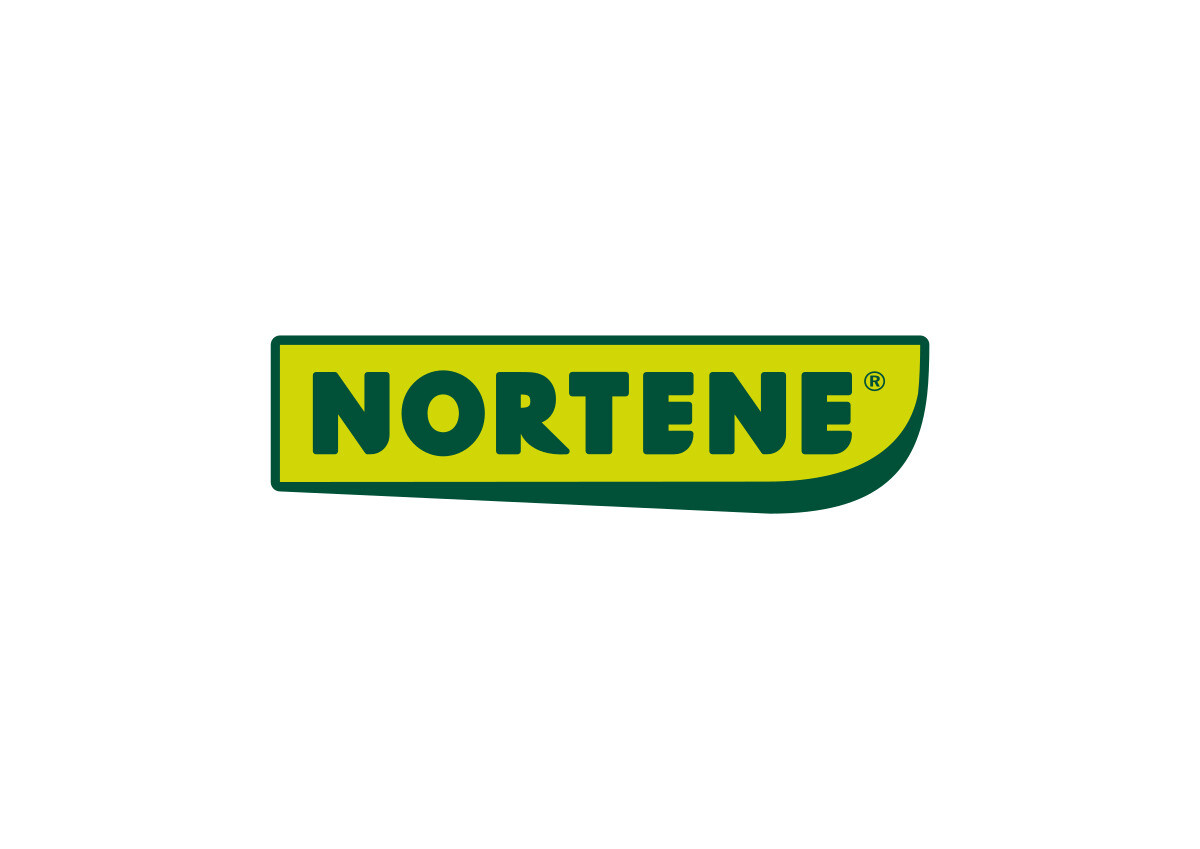 NORTENE Sichtschutz braun PVC B/H/L: ca. 300x0,05x150 cm