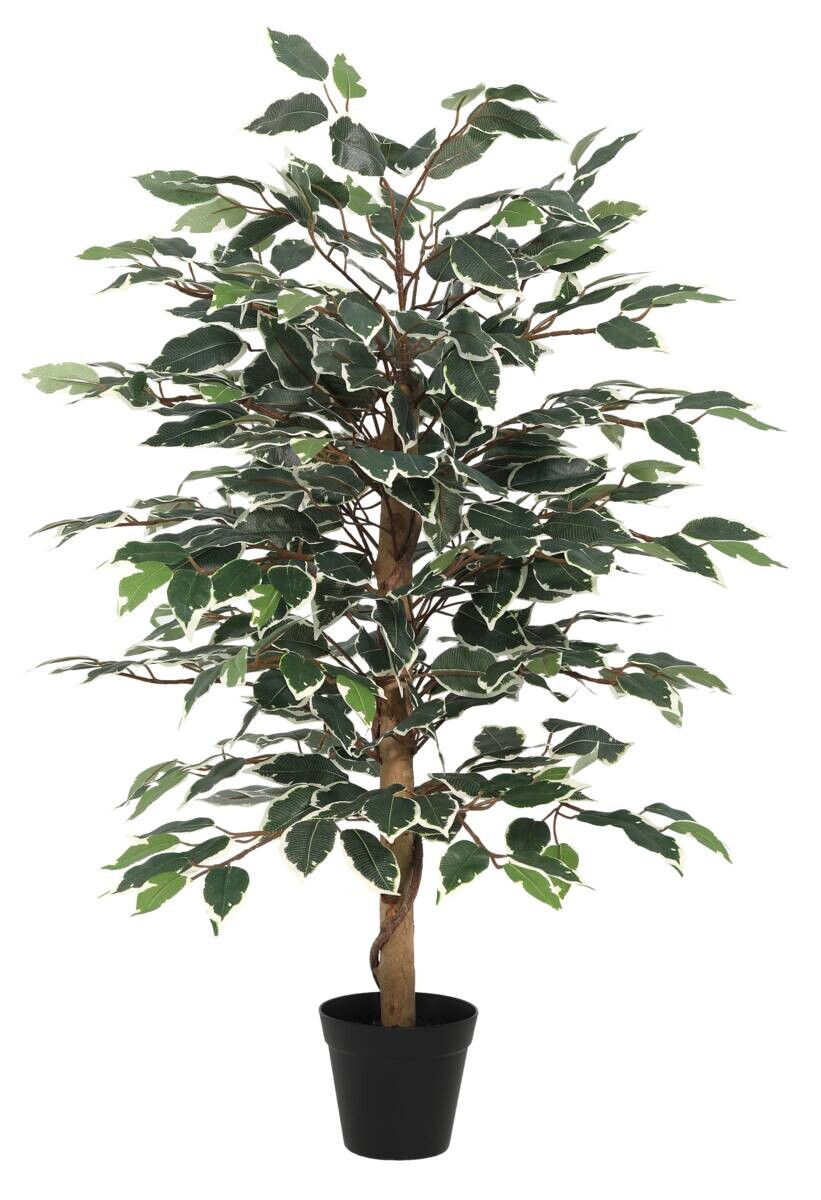 POCOline Kunstpflanze Ficusbaum grün Kunststoff B/H/L: ca. 12,5x94x12,5 cm