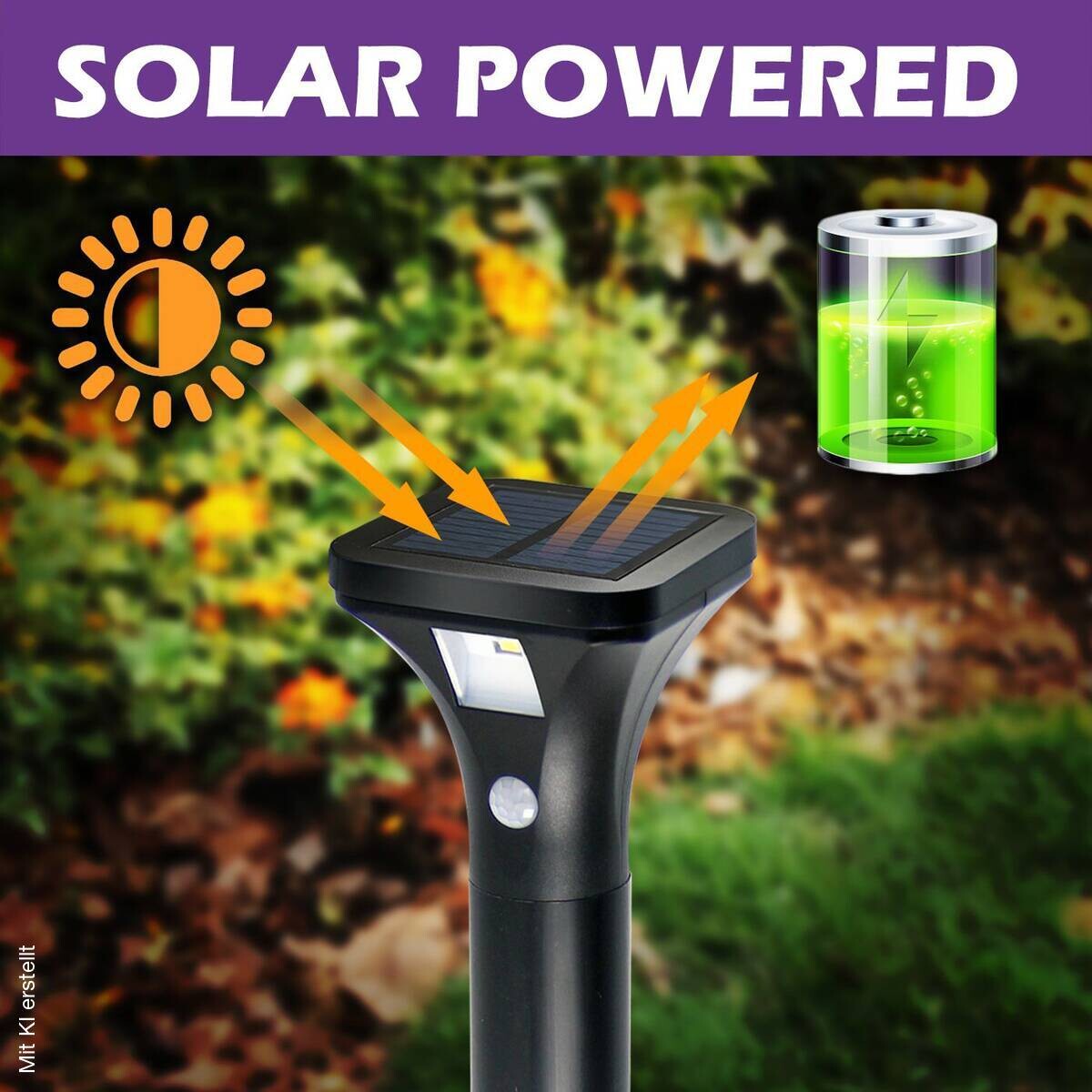 Solar-Wegeleuchte schwarz